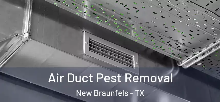  Air Duct Pest Removal New Braunfels - TX