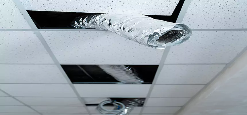 Affordable HVAC Sanitizing After Pest Removal in New Braunfels