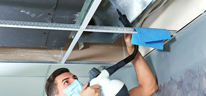 Our Air Duct Rodent Removal Services in New Braunfels, TX