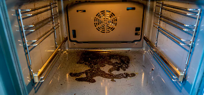 Our Dryer Vent Mold Cleaning Services in New Braunfels, TX