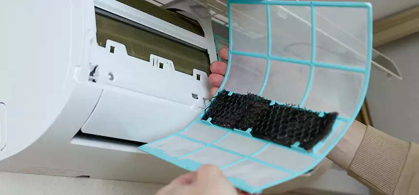 Gentle Ductwork Odor-Control Pet Dander Duct Cleaning in New Braunfels, TX