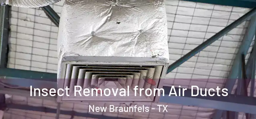  Insect Removal from Air Ducts New Braunfels - TX