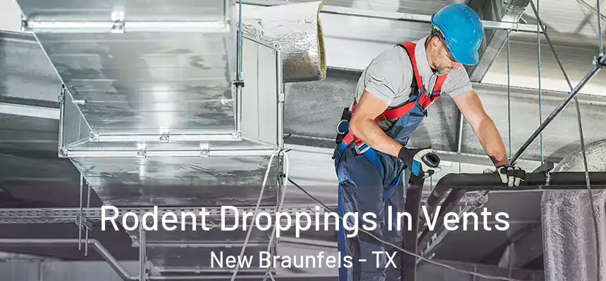  Rodent Droppings In Vents New Braunfels - TX