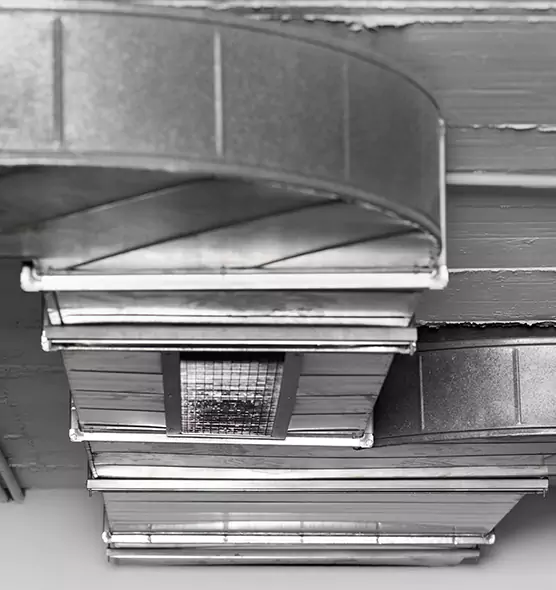 Professional Air Duct Pet Hair Removal in New Braunfels, TX