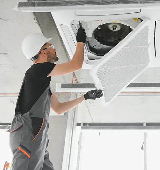 About Air Duct Rodent Removal in New Braunfels, TX