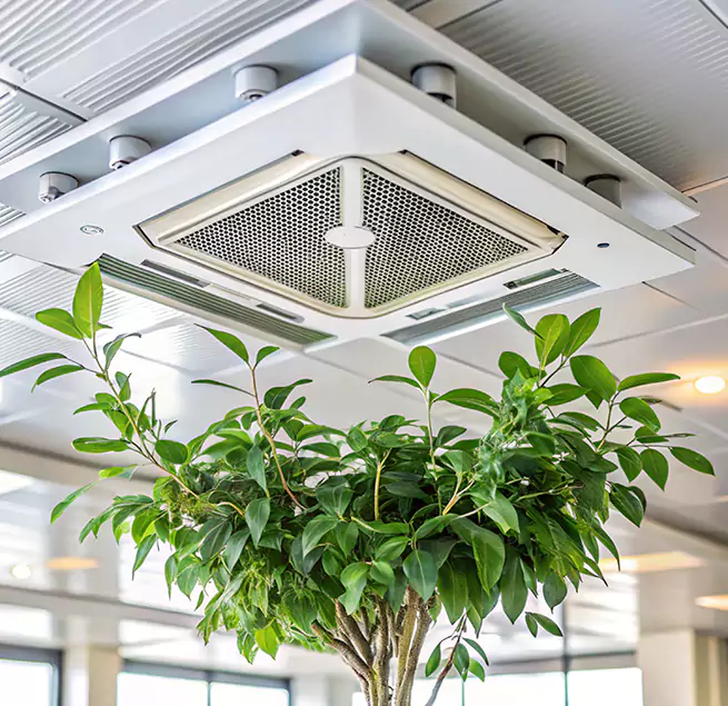 Why Homeowners & Businesses Trust Us in New Braunfels, TX?