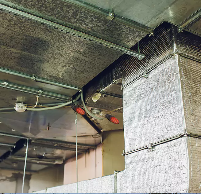 Why Homeowners & Businesses Trust Us New Braunfels, TX?